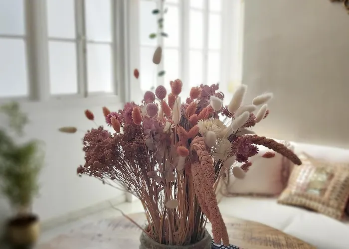 Del Parque Flats Calle Nueva Quiet